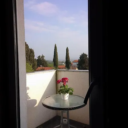 Abelia Sea View *